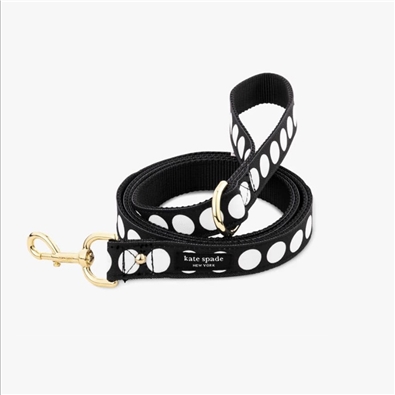 Large Dog Leash, Art Dot