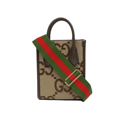 Mini Tote Bag